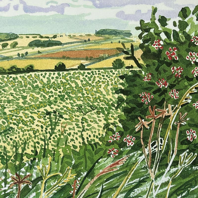 A Gap in the Hedgerow (from Midsummer: East Yorkshire) by David Hockney - Image 3