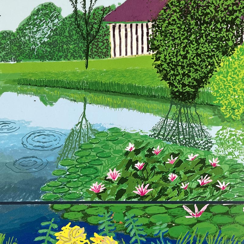 Water Lilies in the Pond with Pots of Flowers poster by David Hockney - white background - Image 5