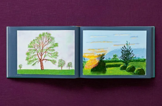 David Hockney 220 for 2020: edition of 1620 books, numbered and stamped - Image 11