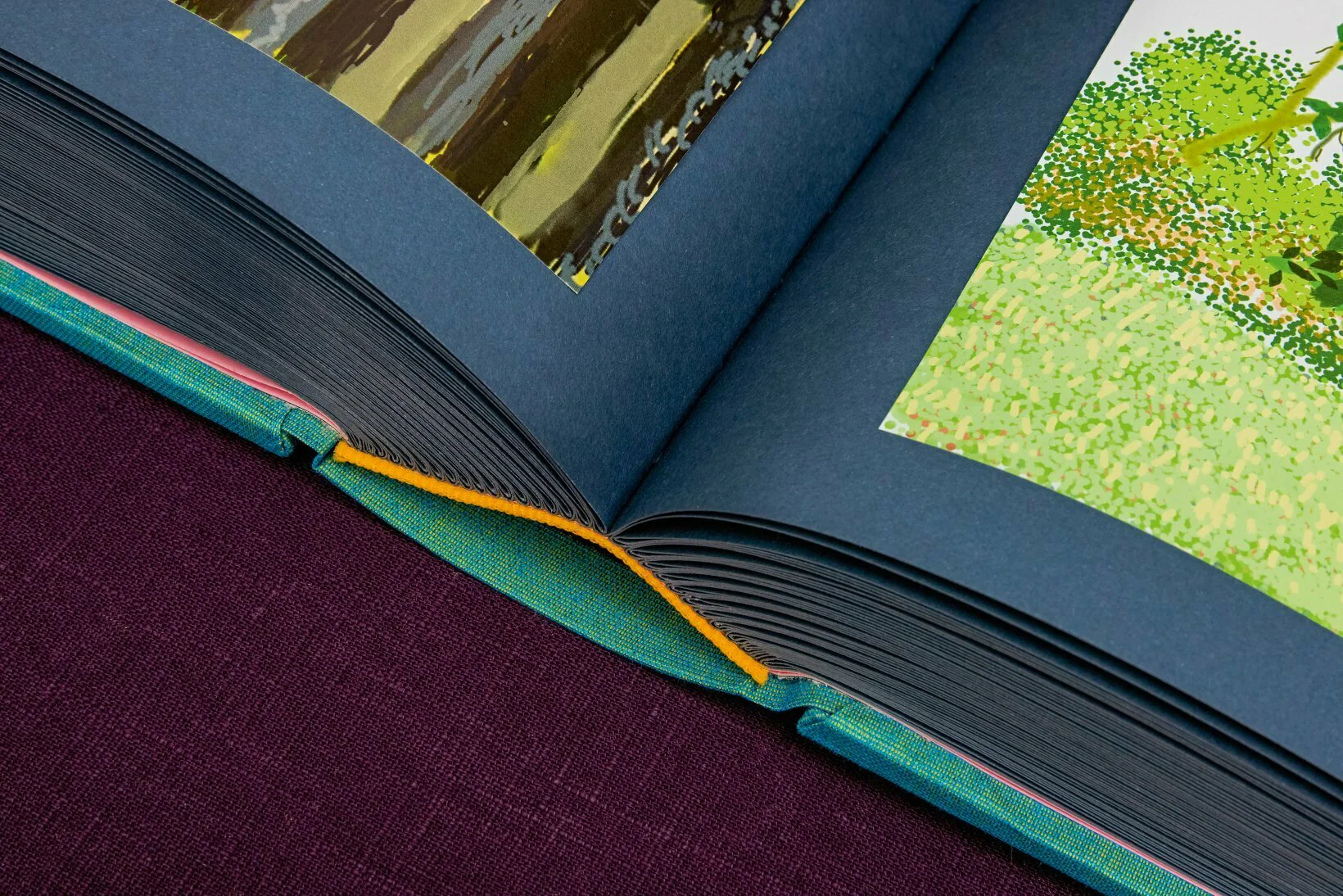David Hockney 220 for 2020: edition of 1620 books, numbered and stamped - Image 13
