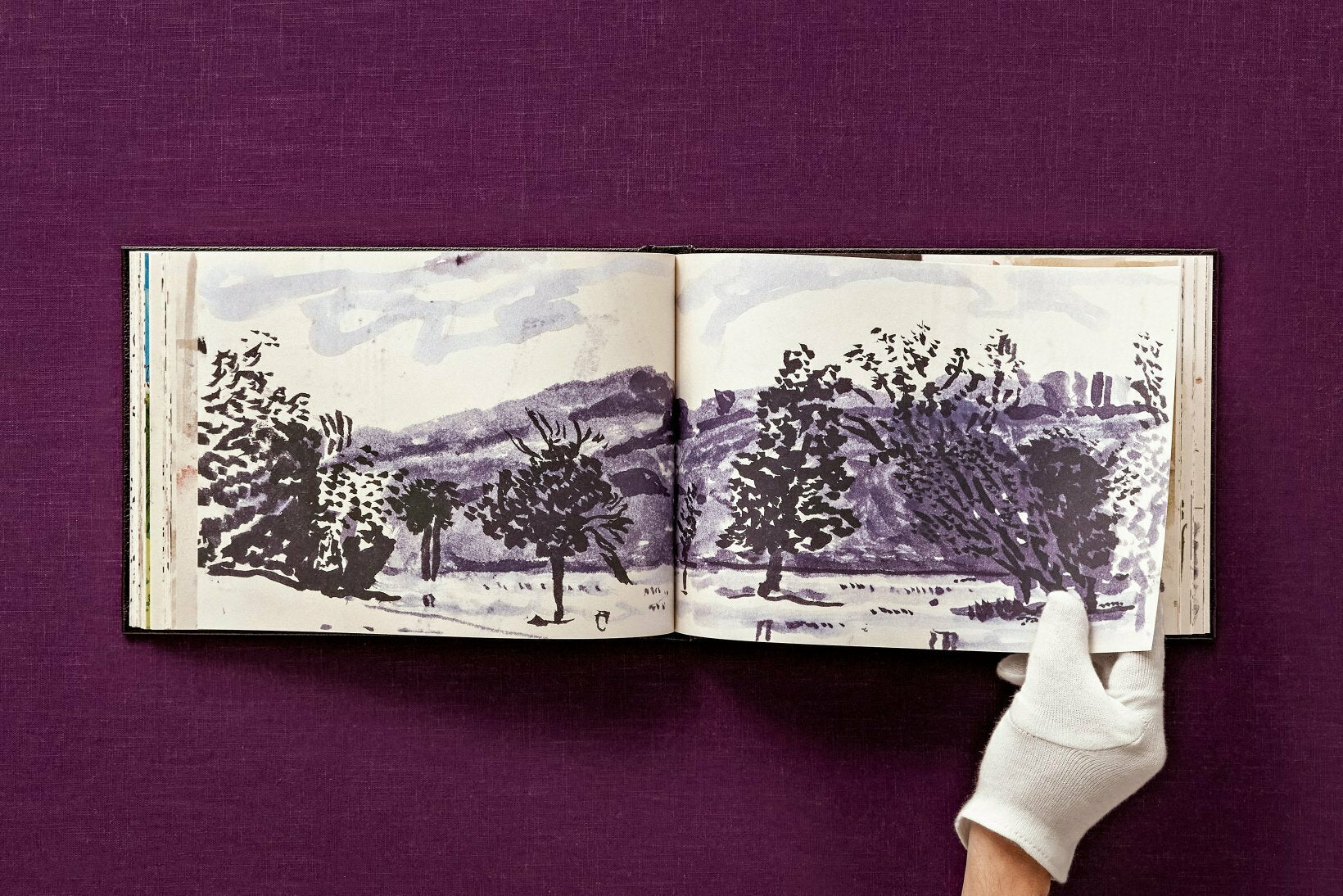 David Hockney 220 for 2020: edition of 1620 books, numbered and stamped - Image 20