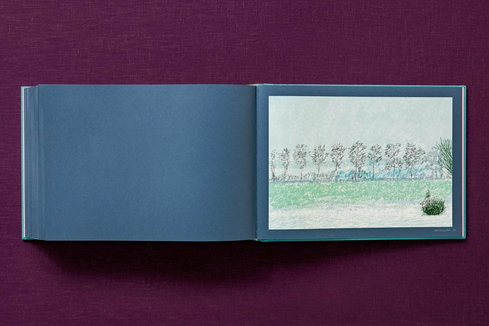 David Hockney 220 for 2020: edition of 1620 books, numbered and stamped - Image 33