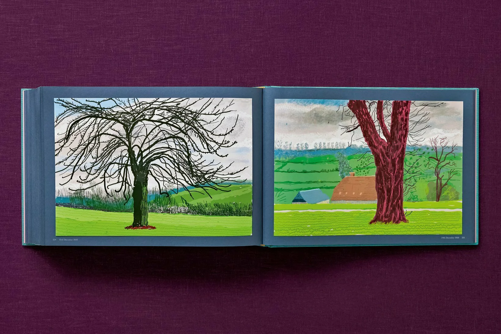 David Hockney 220 for 2020: edition of 1620 books, numbered and stamped - Image 34