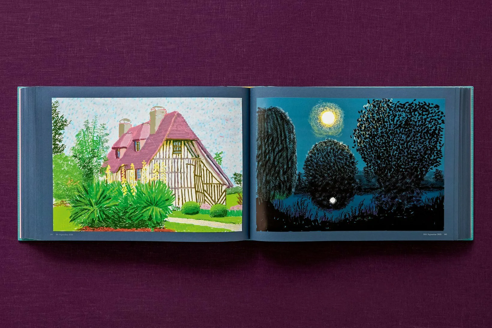 David Hockney 220 for 2020: edition of 1620 books, numbered and stamped - Image 38