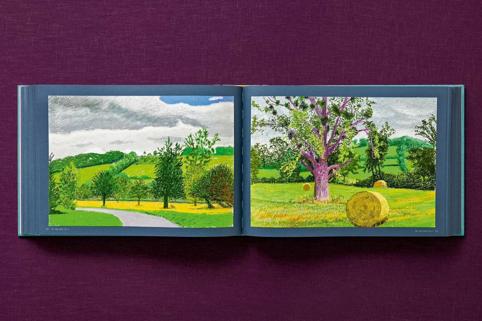 David Hockney 220 for 2020: edition of 1620 books, numbered and stamped - Image 40