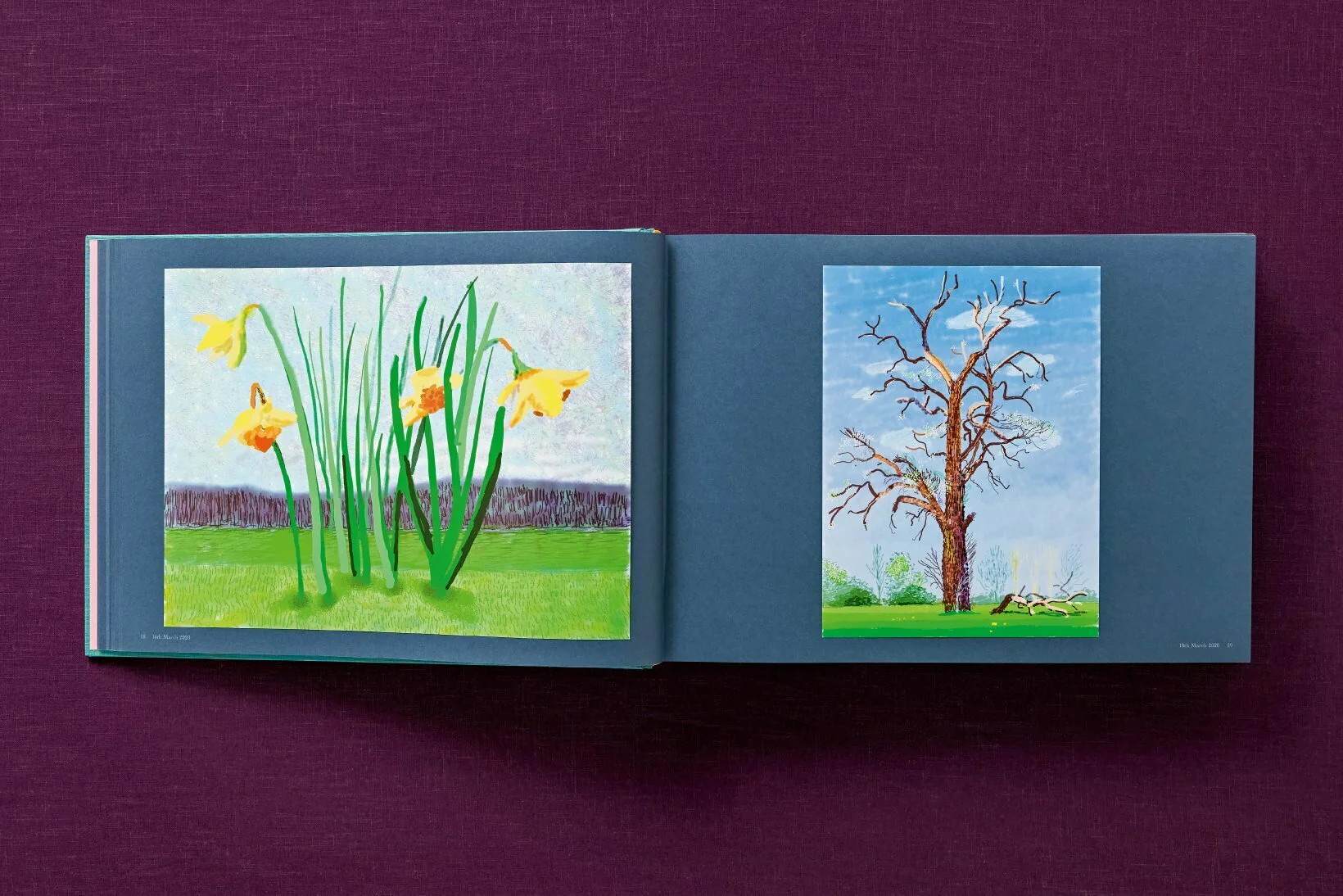 David Hockney 220 for 2020: edition of 1620 books, numbered and stamped - Image 46