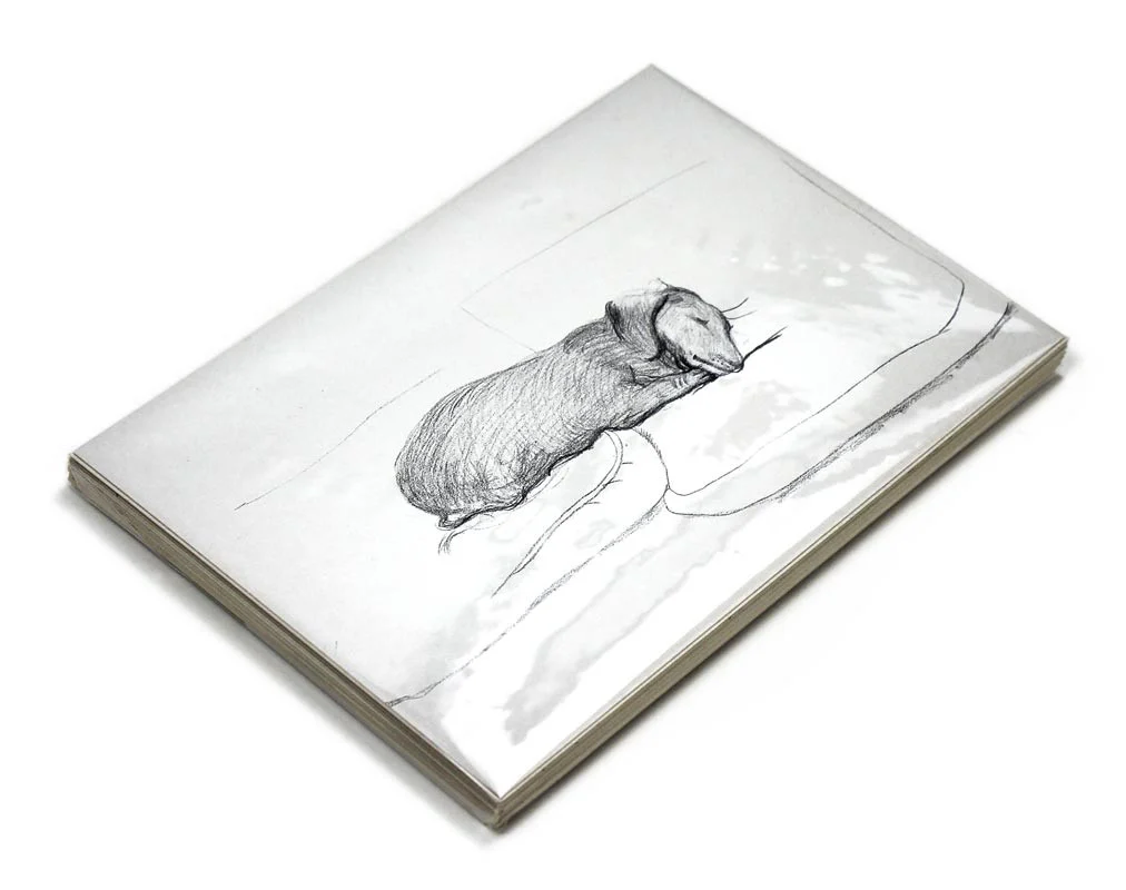 David Hockney Dachshund Drawings Postcard Collection ( 20 cards) - Image 3