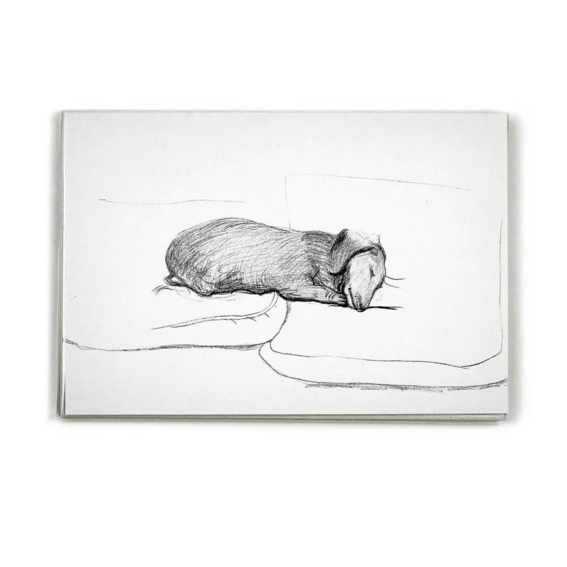 David Hockney Dachshund Drawings Postcard Collection ( 20 cards) - Image 4