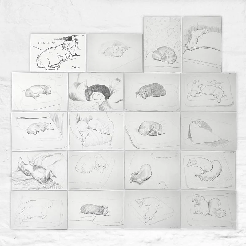 David Hockney Dachshund Drawings Postcard Collection ( 20 cards) - Image 9