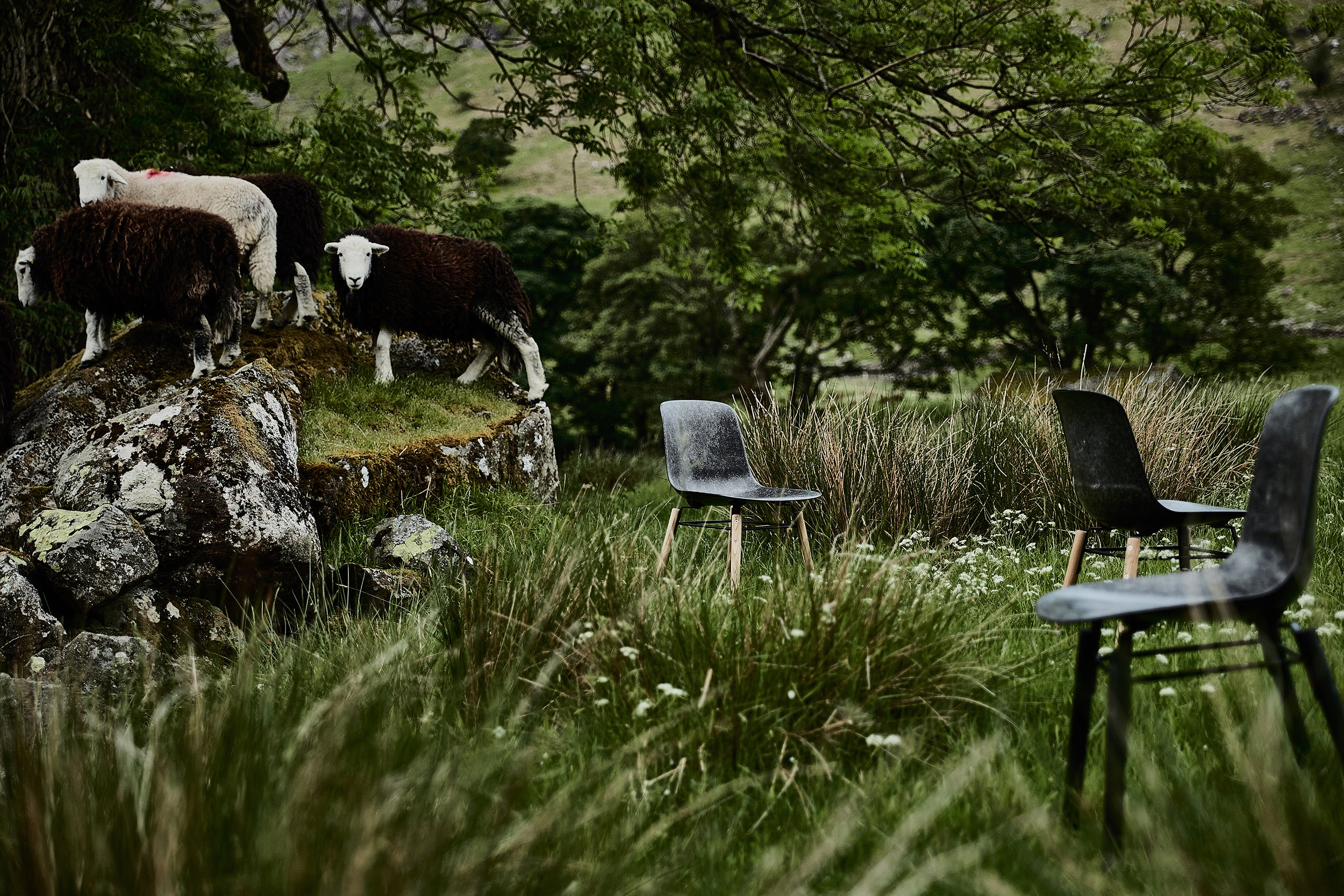 Hembury Chair - Herdwick / Black Ash - by Solidwool - Image 6