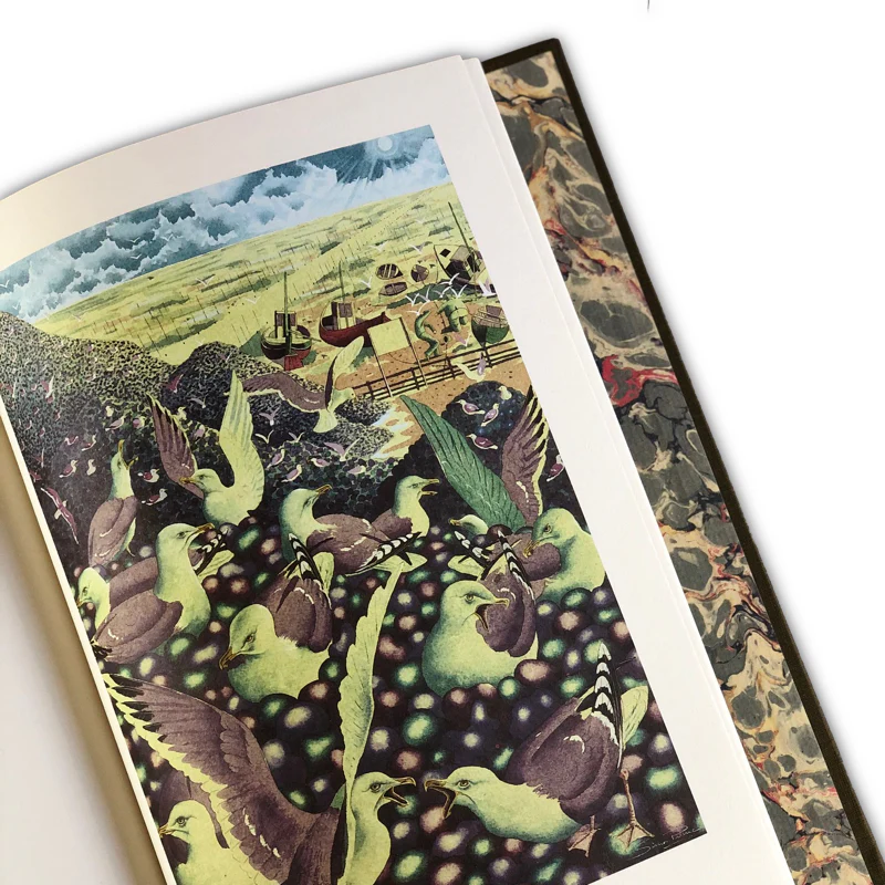 Pebbles on A Beach - signed , numbered limited edition book by Simon Palmer - Image 5