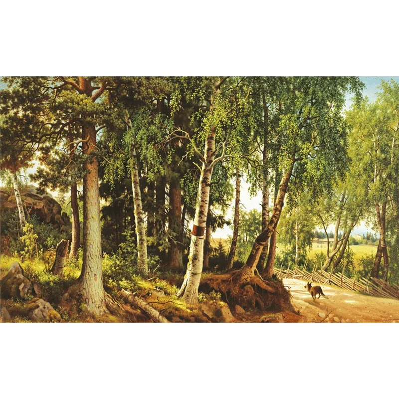 The Eyes & The Impossible by Dave Eggers (Hardback) - Image 4