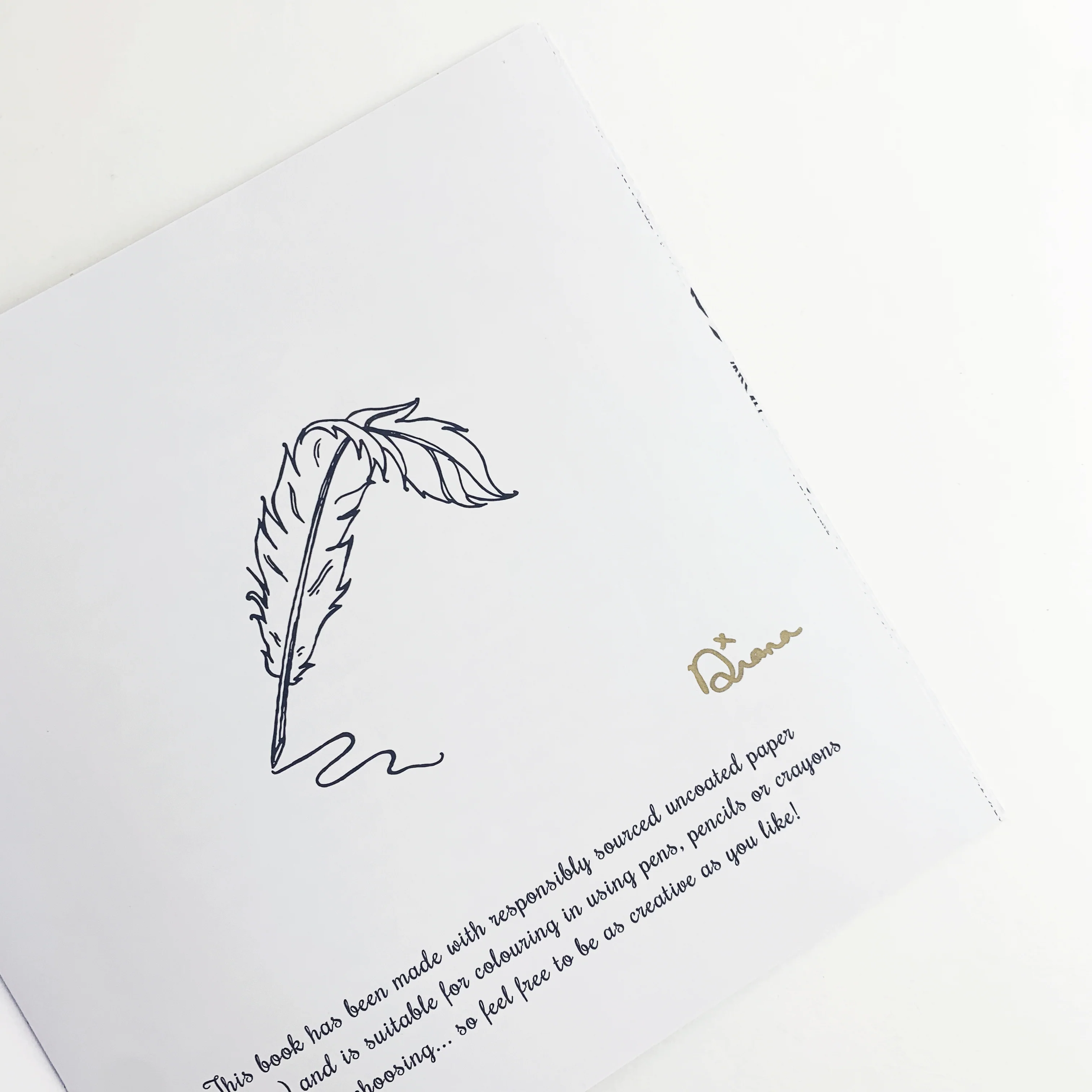 The Great Irish Women Colouring Book by Diana Matos Gagic (signed) - Image 3